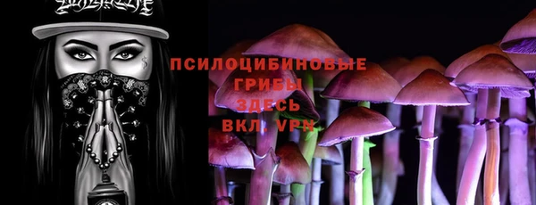 шишки Абаза