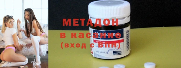 шишки Абаза