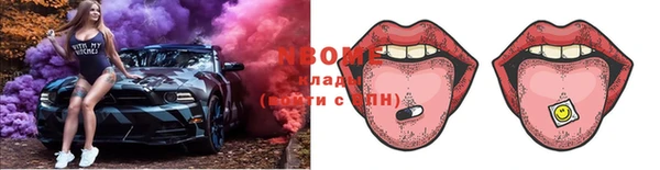 шишки Абаза