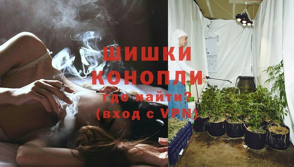 шишки Абаза