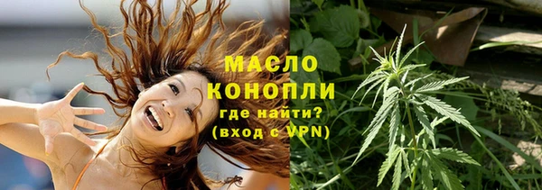 шишки Абаза