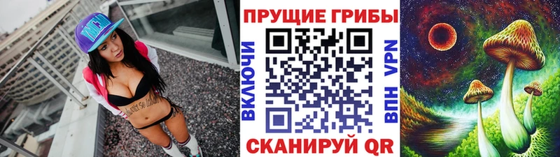 Галлюциногенные грибы Magic Shrooms  Кедровый 